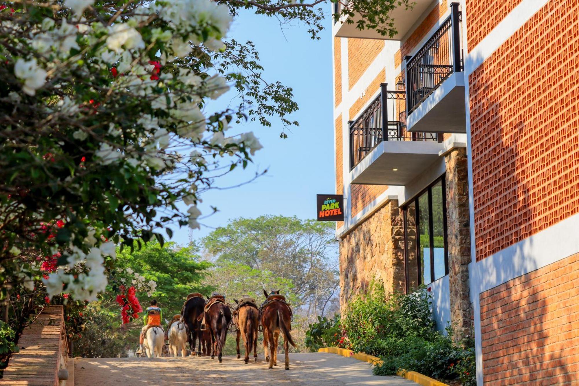 River Park Hotel プエルトバラータ エクステリア 写真